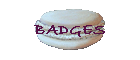 BADGES