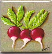 aimant radis