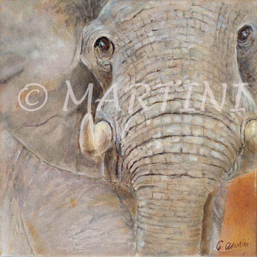 Carte Elephant