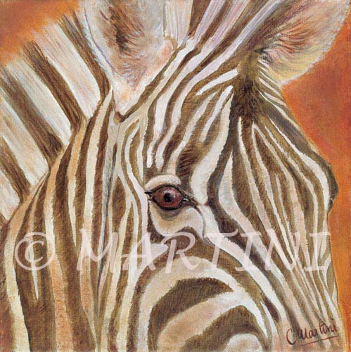 Carte Zebre