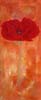 Coquelicot 2