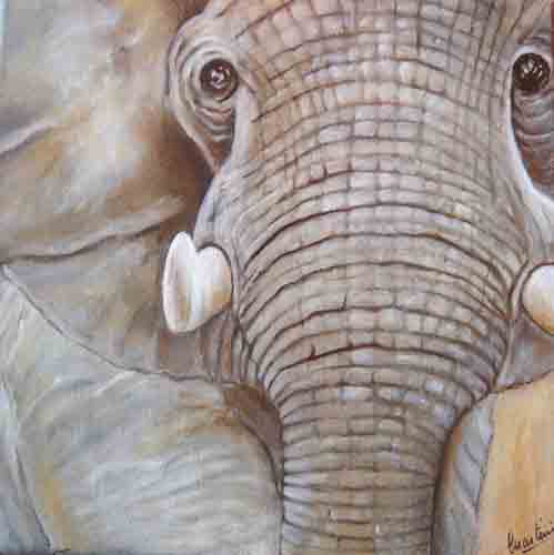 tableau-animaux-elephant-1