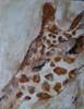 tableau-animaux-girafe-10