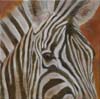 tableau-animaux-zebre-1