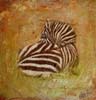 tableau-animaux-zebre-10
