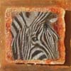 tableau-animaux-zebre-12
