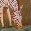 tableau-animaux-zebre-5