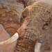 tableau-animaux-elephant-5