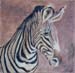 tableau-animaux-zebre-2