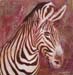 tableau-animaux-zebre-6
