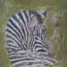 tableau-animaux-zebre-9