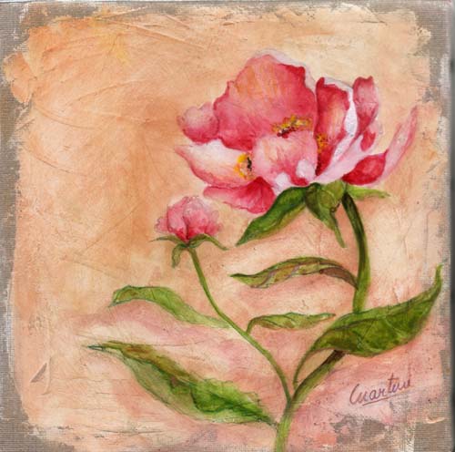 tableau-fleurs-pivoine-1