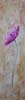 tableau-fleurs-pavot-f1