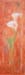 tableau-fleurs-arum-f2