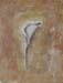 tableau-fleurs-arum-f3