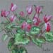 tableau-fleurs-bouquet-f1