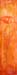 tableau-fleurs-coquelicot-f12