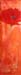 tableau-fleurs-coquelicot-f16