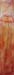 tableau-fleurs-coquelicot-f23
