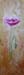 tableau-fleurs-coquelicot-f24