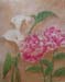 tableau-fleurs-pivoine-f3