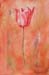tableau-fleurs-tulipe-f1
