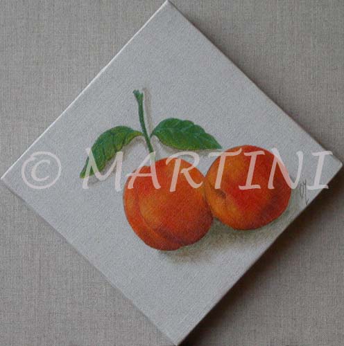 tableau-fruits-abricot-2