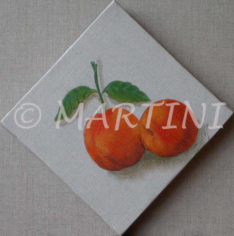 tableau-fruits-abricot-2