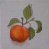 tableau-fruits-abricot-1