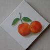 tableau-fruits-abricot-2