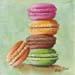 Macarons GAM16