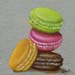Macarons GAM26