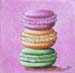 Macarons GAM74
