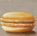 Macaron GAMS1
