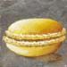 Macaron GAMSF13