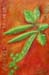 tableau-legume-f-petit-pois-f1