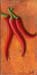 tableau-legume-f-piments-10
