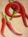tableau-legume-f-piments-12
