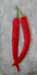 tableau-legume-f-piments-5