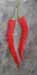 tableau-legume-f-piments-6