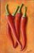 tableau-legume-f-piments-7