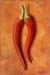 tableau-legume-f-piments-8