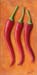 tableau-legume-f-piments-9