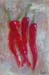 tableau-legume-f-piments-f2