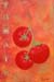 tableau-legume-f-tomates-f1