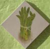 tableau-legume-asperge-1