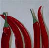 tableau-legume-piment-1