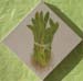tableau-legume-asperge-1
