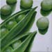 tableau-legume-petits-pois-1
